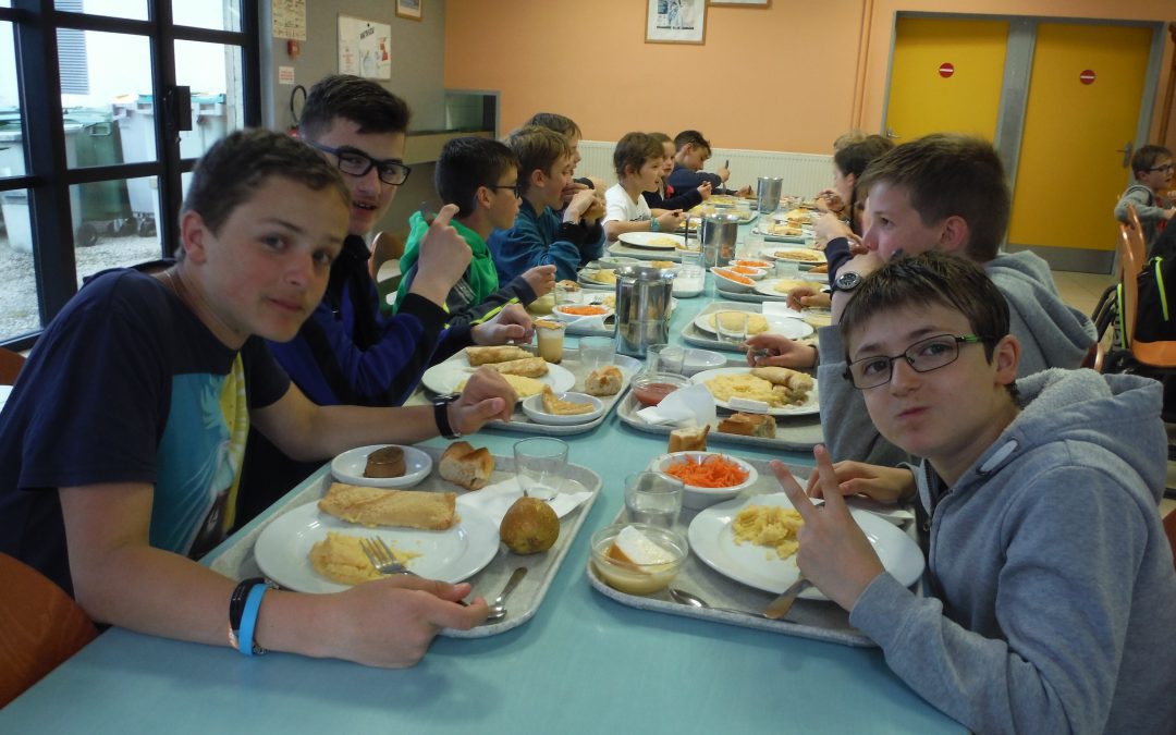 STAGE DE HAUTEVILLE 2017 (1) :  Naissance et vie des 7 tribus