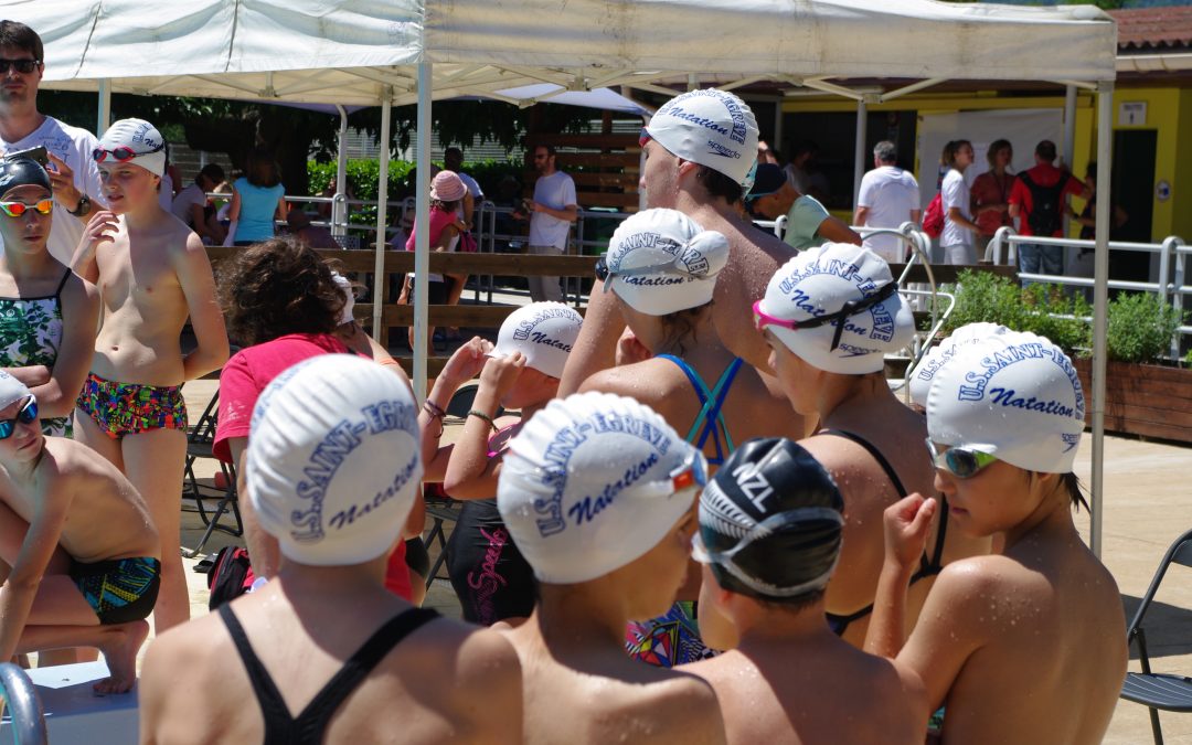 Brevets de natation FFN