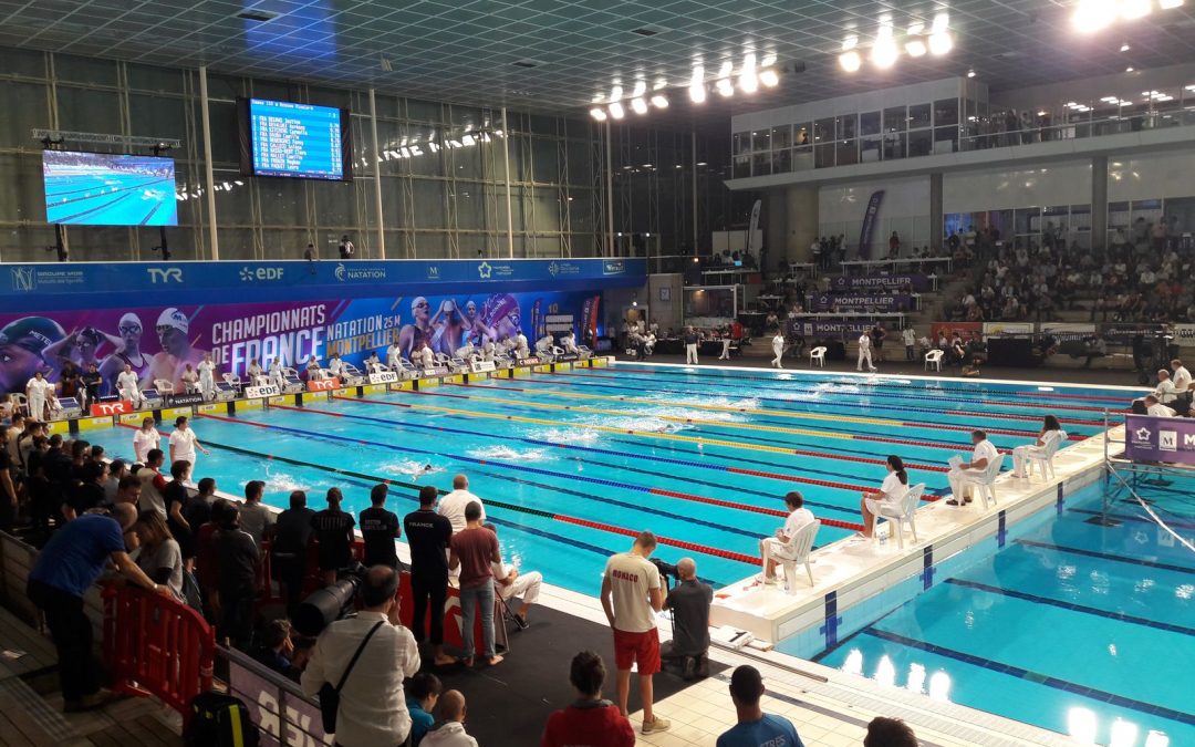 Championnats de France Élite 25 m 2018 – Une finale pour Yann Vazart