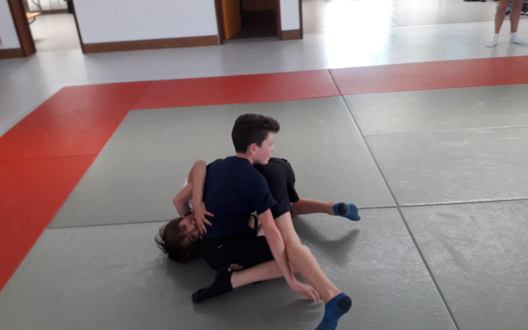 Stage de printemps à St-Martin le Vinoux (2) Séance de lutte avec Yann