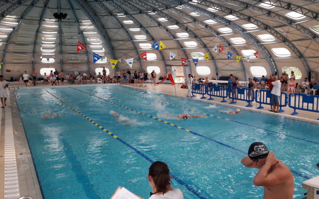 L&rsquo;agenda de fin d&rsquo;année à l&rsquo;USSE Natation