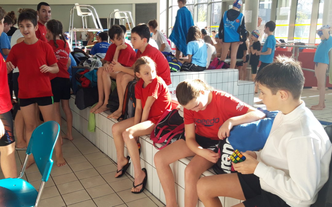 Samedi 15 février : 200 4N et 400 libre au menu des st-egrèvois lors du trophée Christian Donzé