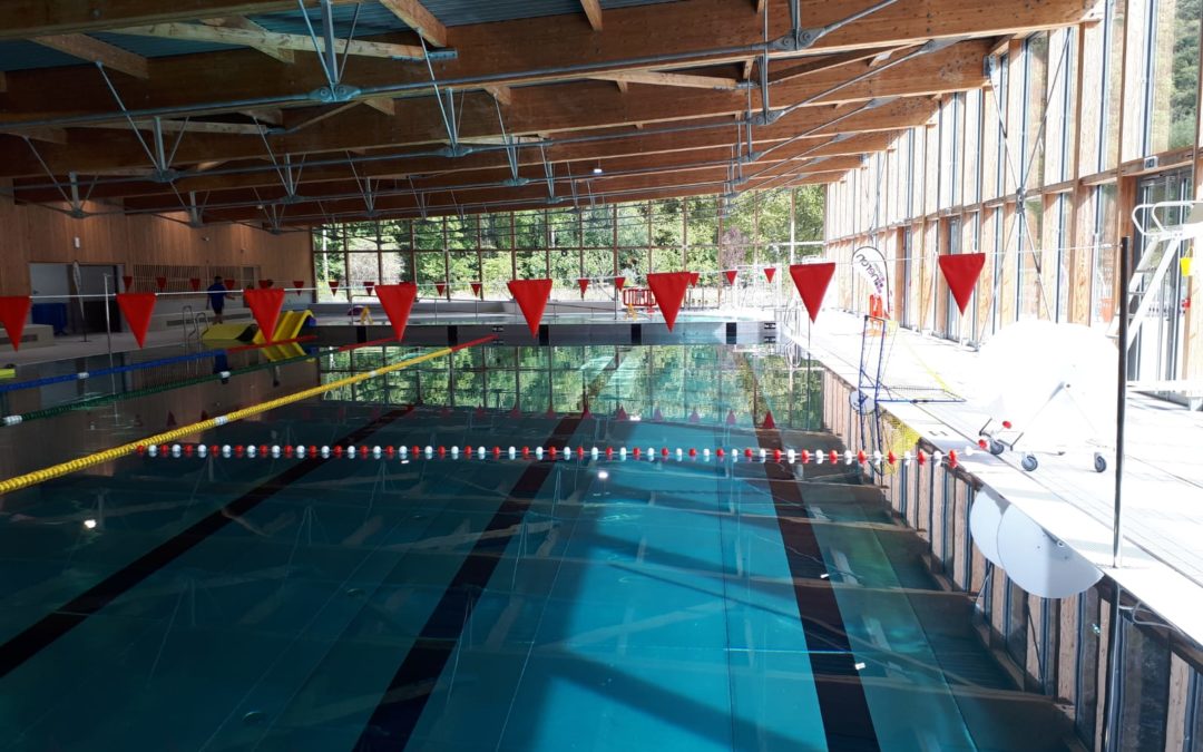 La natation, un sport excellent toute la vie selon Harvard…