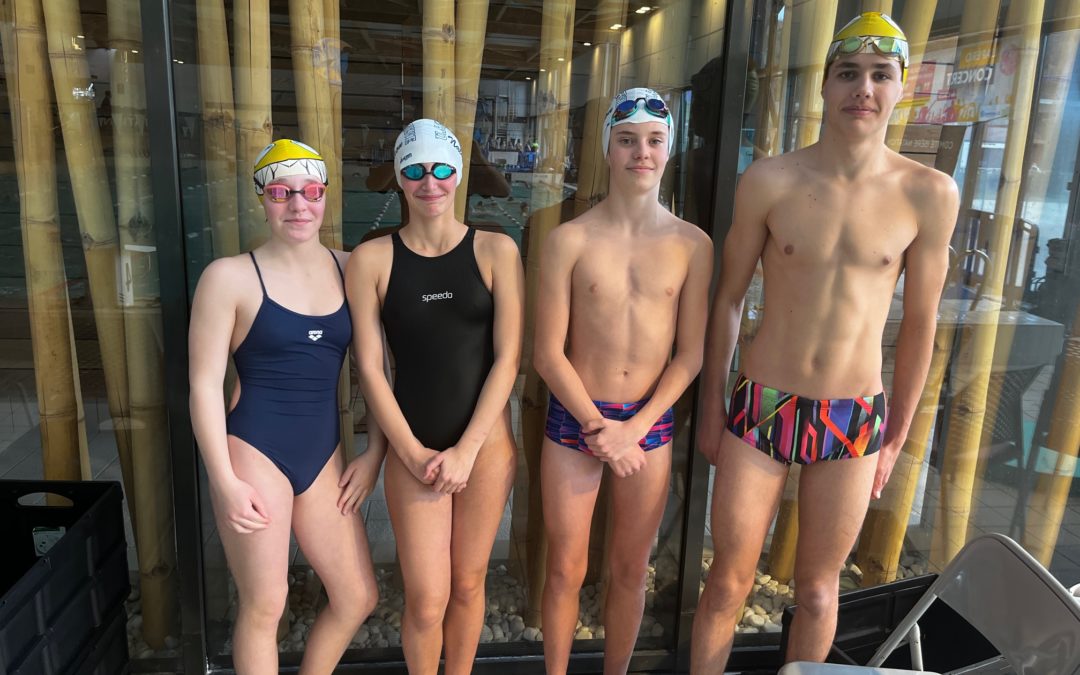 Meeting des 3 vallées à Chatte les 31 janvier et 1er février